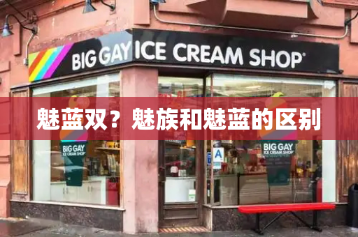 魅蓝双？魅族和魅蓝的区别-第1张图片-星选测评