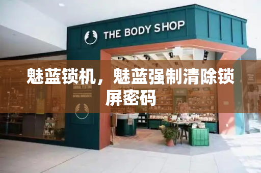 魅蓝锁机，魅蓝强制清除锁屏密码-第1张图片-星选测评