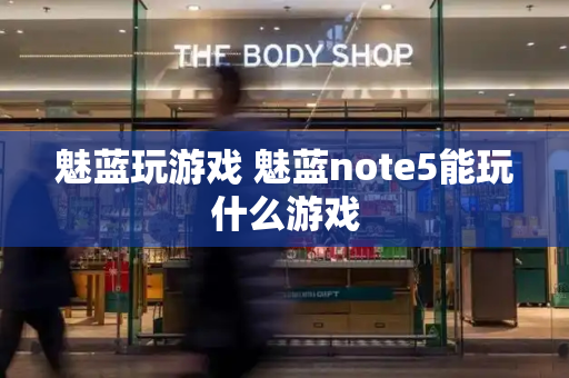魅蓝玩游戏 魅蓝note5能玩什么游戏