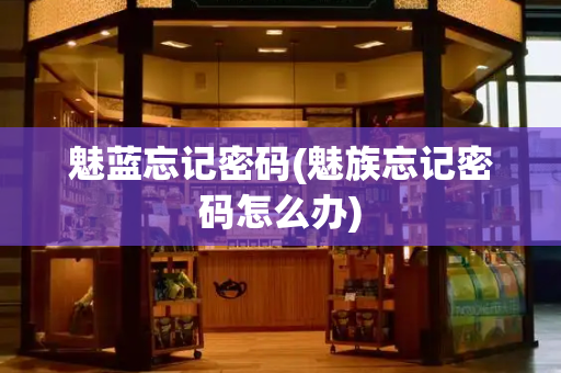 魅蓝忘记密码(魅族忘记密码怎么办)