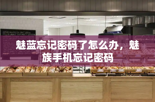 魅蓝忘记密码了怎么办，魅族手机忘记密码