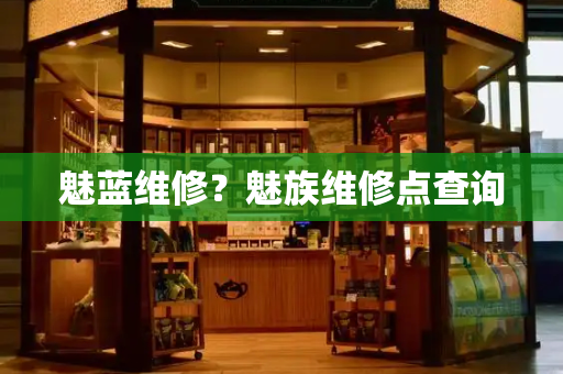 魅蓝维修？魅族维修点查询-第1张图片-星选测评