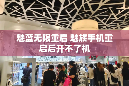 魅蓝无限重启 魅族手机重启后开不了机-第1张图片-星选测评