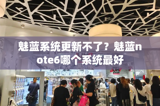 魅蓝系统更新不了？魅蓝note6哪个系统最好-第1张图片-星选测评