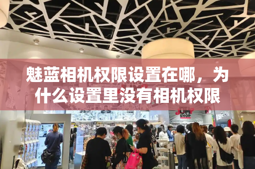 魅蓝相机权限设置在哪，为什么设置里没有相机权限