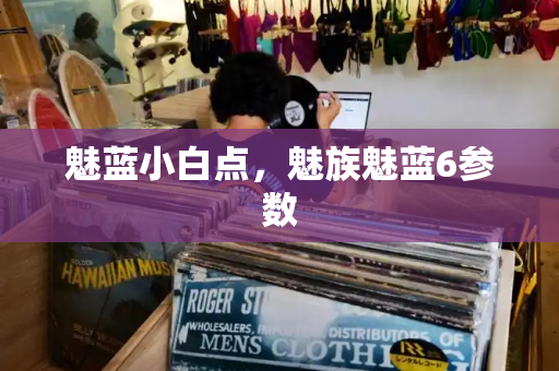 魅蓝小白点，魅族魅蓝6参数-第1张图片-星选测评