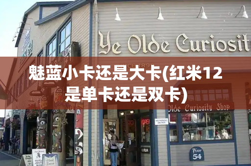 魅蓝小卡还是大卡(红米12是单卡还是双卡)