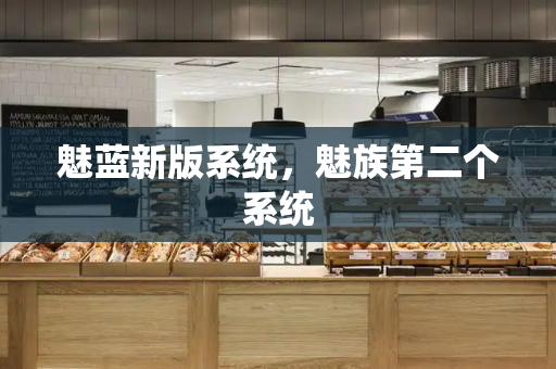 魅蓝新版系统，魅族第二个系统-第1张图片-星选测评
