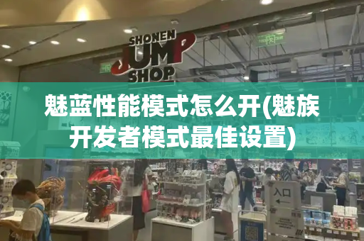 魅蓝性能模式怎么开(魅族开发者模式最佳设置)