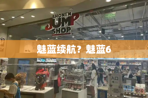 魅蓝续航？魅蓝6-第1张图片-星选测评