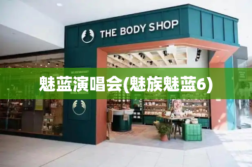 魅蓝演唱会(魅族魅蓝6)-第1张图片-星选测评