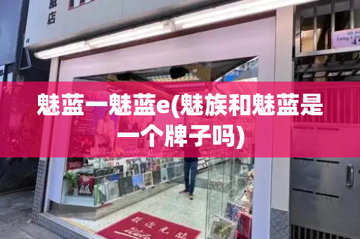魅蓝一魅蓝e(魅族和魅蓝是一个牌子吗)-第1张图片-星选测评