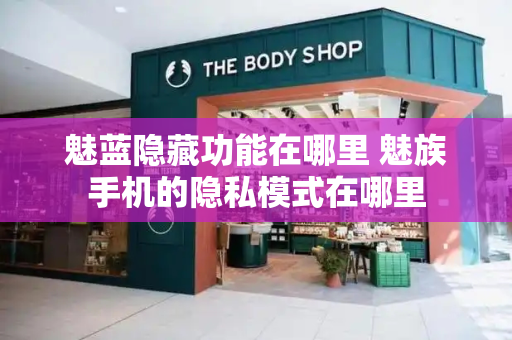 魅蓝隐藏功能在哪里 魅族手机的隐私模式在哪里