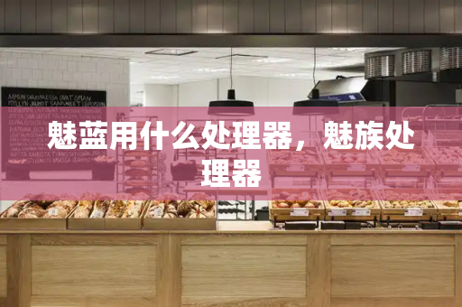 魅蓝用什么处理器，魅族处理器