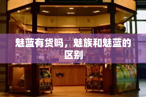 魅蓝有货吗，魅族和魅蓝的区别