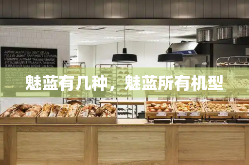 魅蓝有几种，魅蓝所有机型