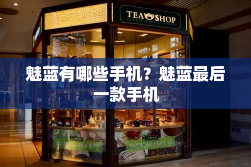 魅蓝有哪些手机？魅蓝最后一款手机-第1张图片-星选测评
