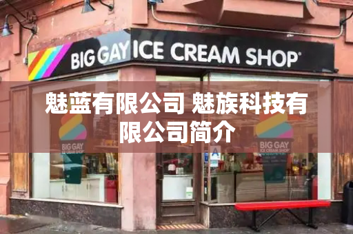 魅蓝有限公司 魅族科技有限公司简介