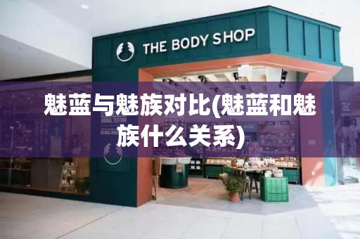 魅蓝与魅族对比(魅蓝和魅族什么关系)