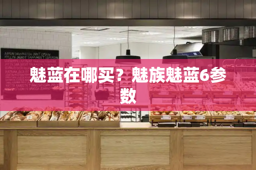 魅蓝在哪买？魅族魅蓝6参数