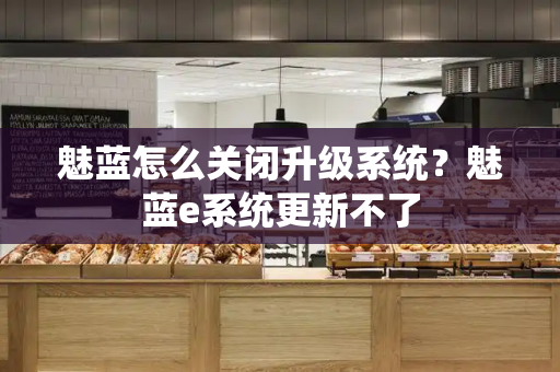 魅蓝怎么关闭升级系统？魅蓝e系统更新不了