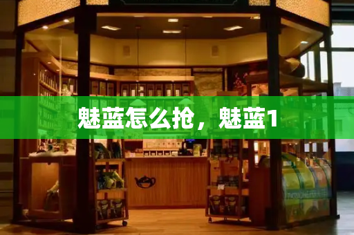 魅蓝怎么抢，魅蓝1-第1张图片-星选测评