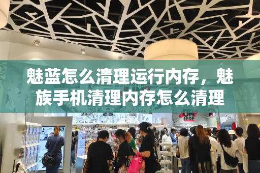 魅蓝怎么清理运行内存，魅族手机清理内存怎么清理-第1张图片-星选测评