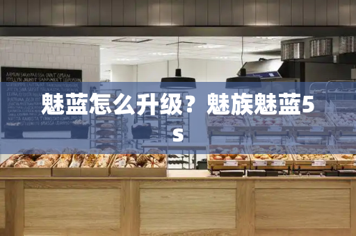 魅蓝怎么升级？魅族魅蓝5s-第1张图片-星选测评