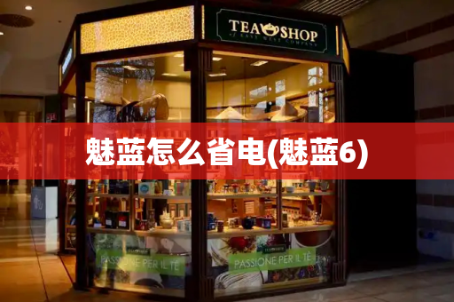 魅蓝怎么省电(魅蓝6)-第1张图片-星选测评