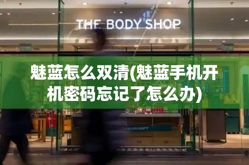 魅蓝怎么双清(魅蓝手机开机密码忘记了怎么办)