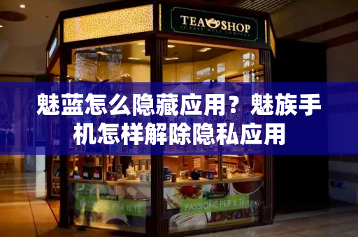 魅蓝怎么隐藏应用？魅族手机怎样解除隐私应用-第1张图片-星选测评