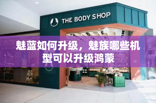 魅蓝如何升级，魅族哪些机型可以升级鸿蒙-第1张图片-星选测评