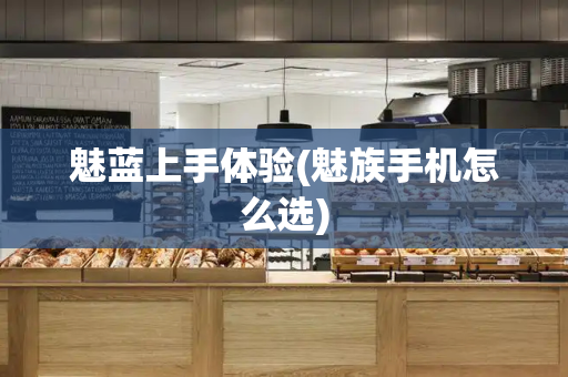魅蓝上手体验(魅族手机怎么选)