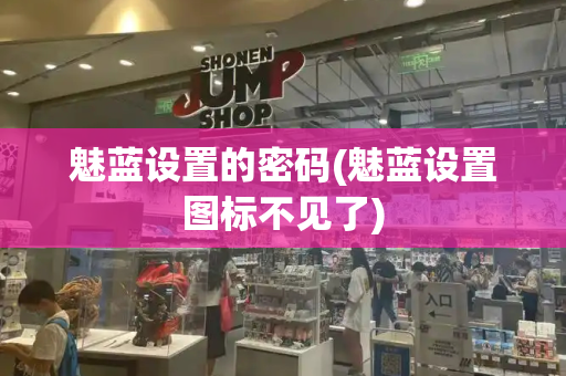 魅蓝设置的密码(魅蓝设置图标不见了)