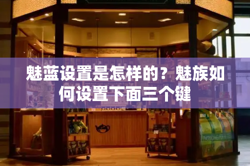 魅蓝设置是怎样的？魅族如何设置下面三个键