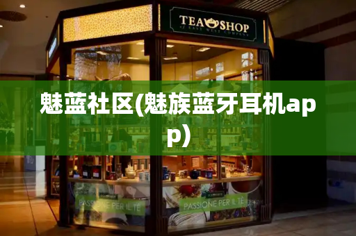 魅蓝社区(魅族蓝牙耳机app)