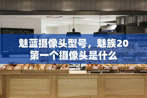 魅蓝摄像头型号，魅族20第一个摄像头是什么