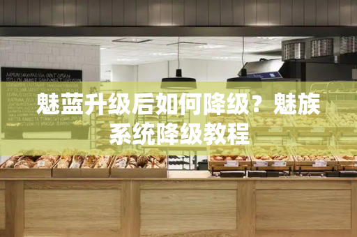 魅蓝升级后如何降级？魅族系统降级教程