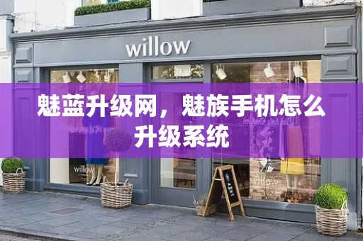 魅蓝升级网，魅族手机怎么升级系统-第1张图片-星选测评