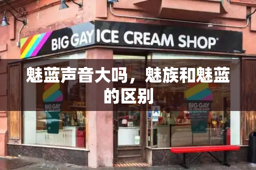 魅蓝声音大吗，魅族和魅蓝的区别-第1张图片-星选测评
