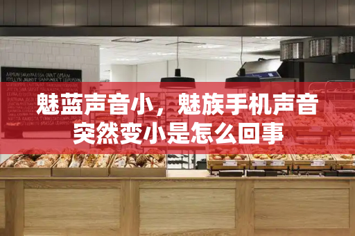 魅蓝声音小，魅族手机声音突然变小是怎么回事