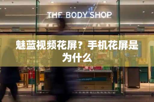 魅蓝视频花屏？手机花屏是为什么-第1张图片-星选测评