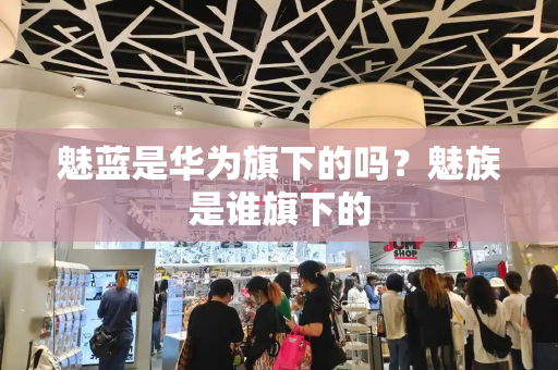 魅蓝是华为旗下的吗？魅族是谁旗下的-第1张图片-星选测评