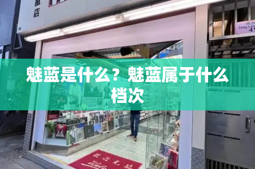魅蓝是什么？魅蓝属于什么档次