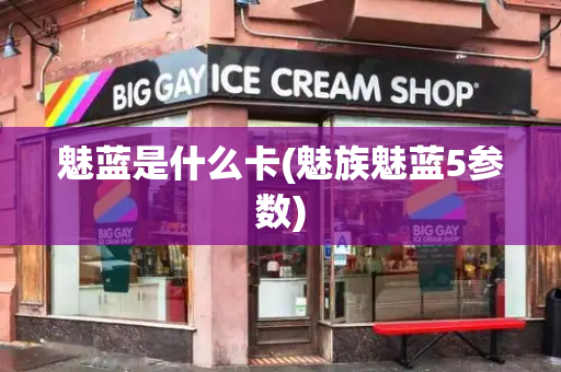 魅蓝是什么卡(魅族魅蓝5参数)-第1张图片-星选测评