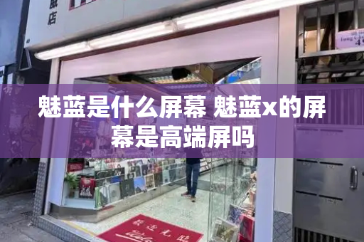 魅蓝是什么屏幕 魅蓝x的屏幕是高端屏吗-第1张图片-星选测评