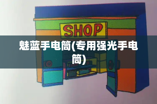魅蓝手电筒(专用强光手电筒)