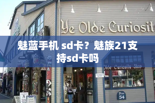 魅蓝手机 sd卡？魅族21支持sd卡吗