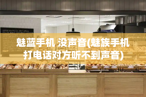 魅蓝手机 没声音(魅族手机打电话对方听不到声音)