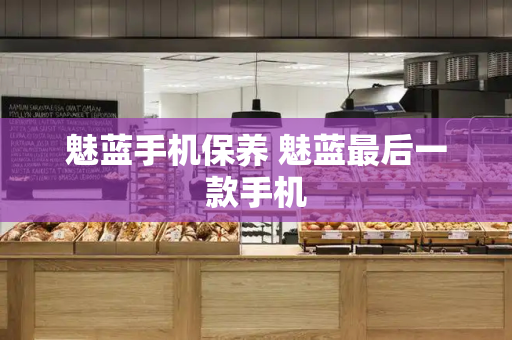魅蓝手机保养 魅蓝最后一款手机-第1张图片-星选测评